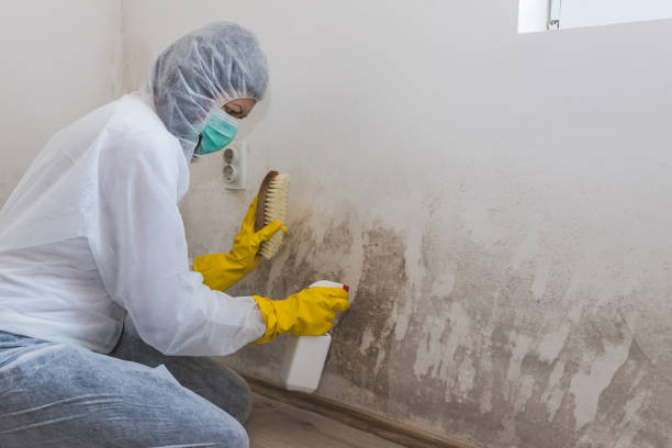Water Damage Restoration in Inglenook, CT