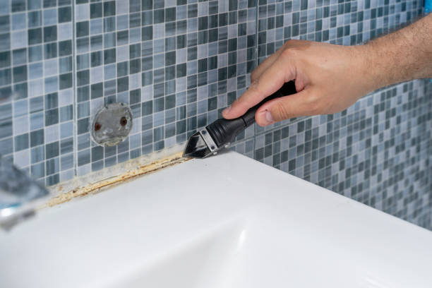 Best Black Mold Removal  in Inglenook, CT