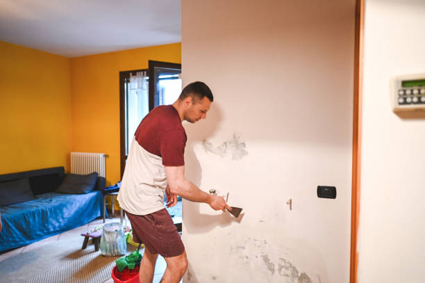 Best Professional Mold Removal  in Inglenook, CT